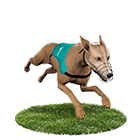 客萊柏娛樂城白金賽狗 客萊柏娛樂城白金賽狗